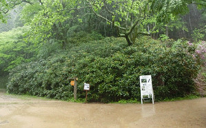 blog09森林植物園.jpg