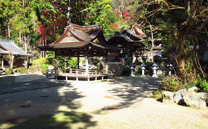 blog10玉津岡神社.jpg