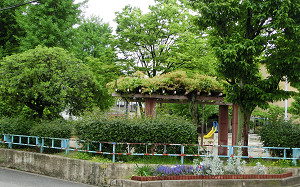 blog22海老江中公園.jpg
