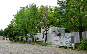 blog29下福島公園.jpg