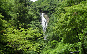 blog34神庭の滝.jpg