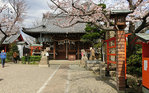 blog72桜井神社.jpg