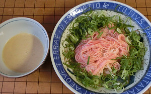 blog素麺梅肉.jpg