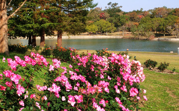 blog39蜻蛉池公園.jpg