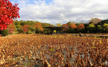 blog67日本庭園.jpg