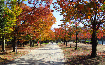 blog77大阪城公園.jpg